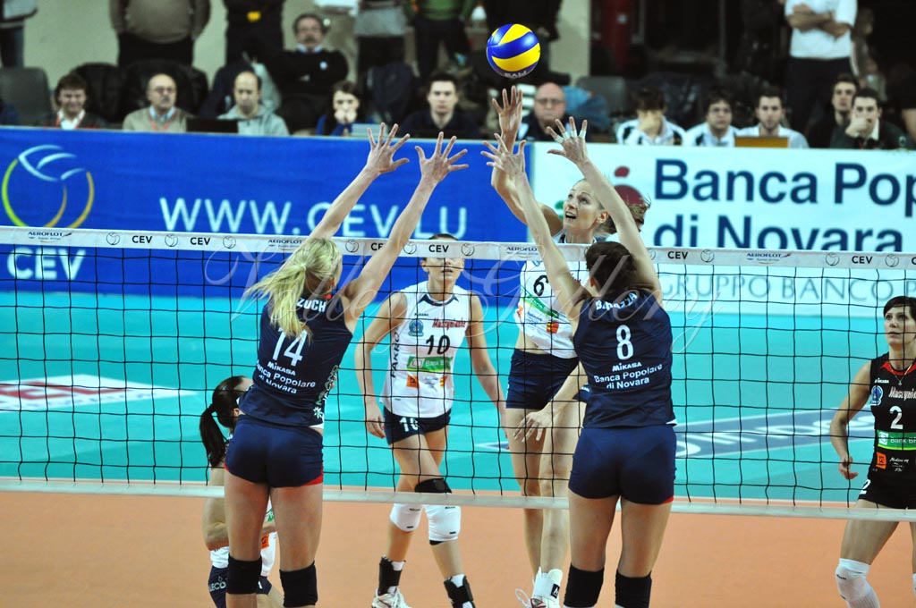 Asystel NO Muszynianka (07)